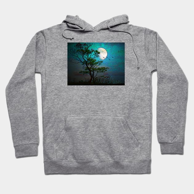 Moonlight Hoodie by Susan Werby